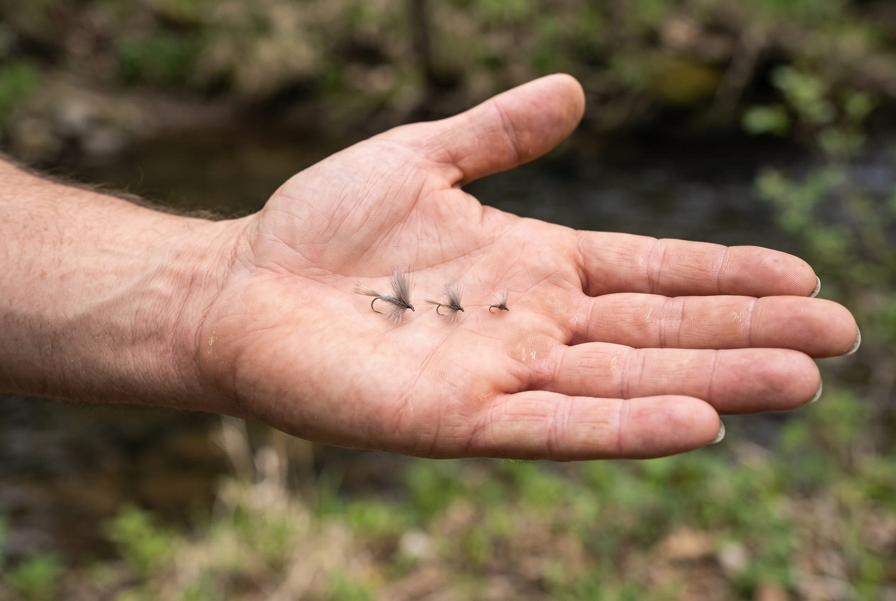 An open palm holding three small gray dry flies in a row, from larger to smaller, in front of a blurred creek