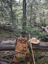 A backpack, a walking stick and a straw hat resting on a fallen log in the pine forest