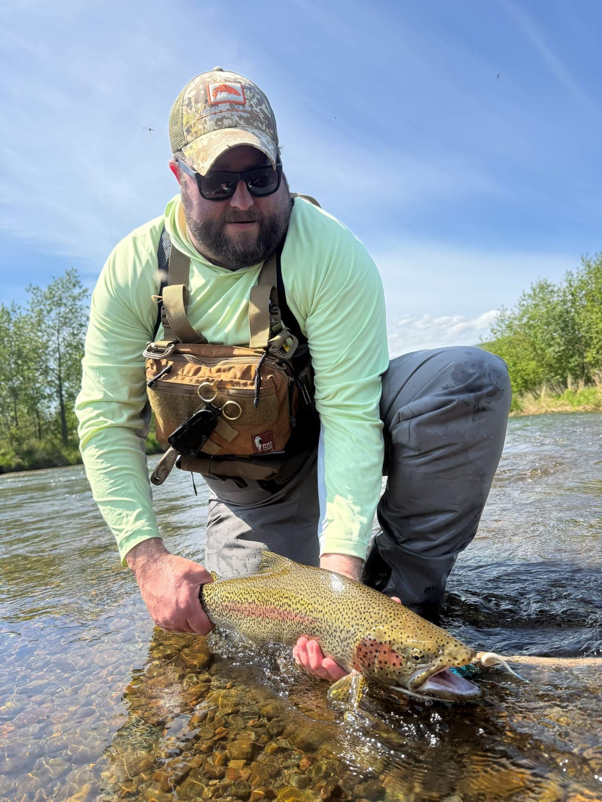 Justin Ellis crouching in a river, holding a large rainbow trout at the water's surface